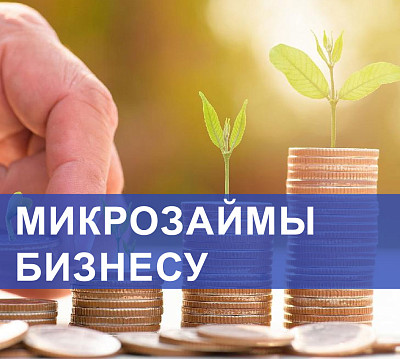 Фонд микрокредитования Саратовской области реализует новый вид программы поддержки малого бизнеса