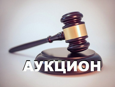Объявлен аукцион на право размещения нестационарных торговых объектов