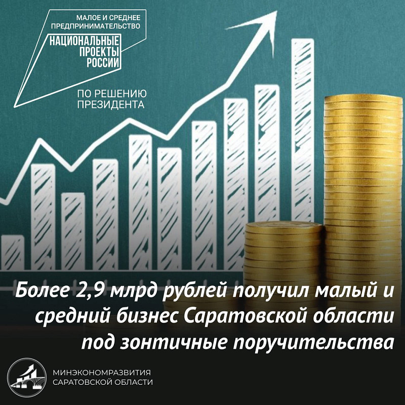 Более 2,9 млрд рублей получил малый и средний бизнес Саратовской области под зонтичные поручительства