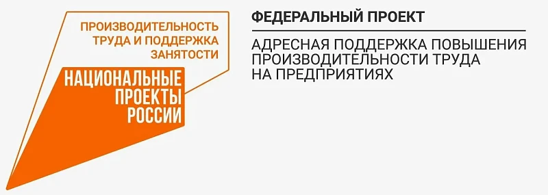 Федеральный проект "Производительность труда и поддержка занятости"