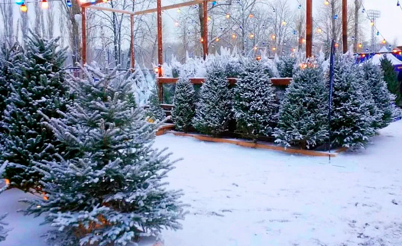 ВНИМАНИЮ ХОЗЯЙСТВУЮЩИХ СУБЪЕКТОВ!